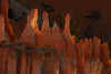 Bryce Canyon Detail.jpg (266515 bytes)